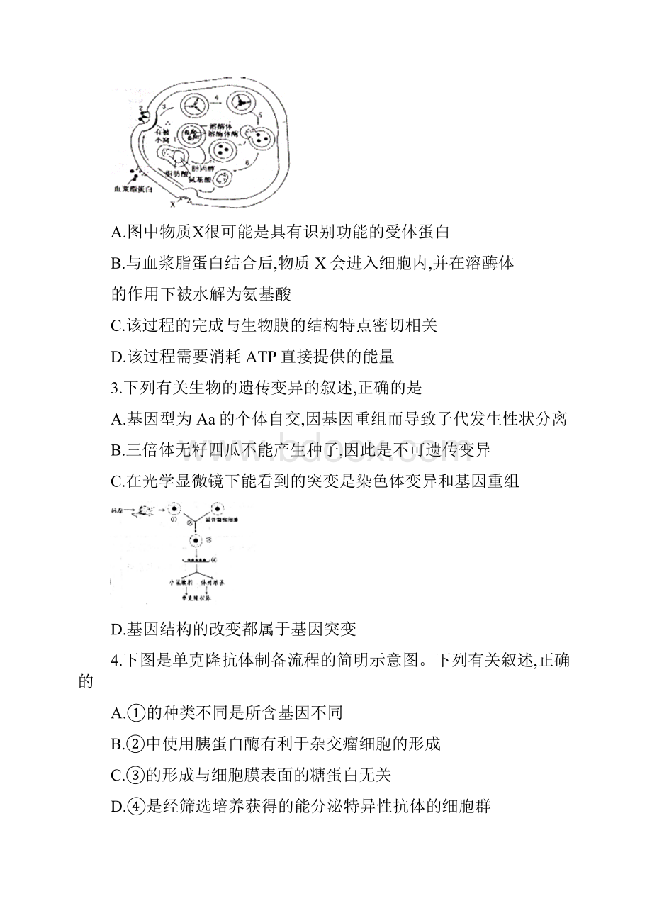 届天津市河东区高三下学期第一次模拟考试生物试题及答案.docx_第2页