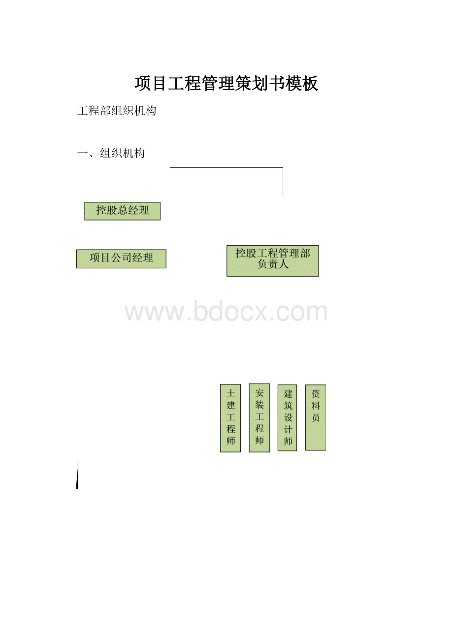 项目工程管理策划书模板.docx