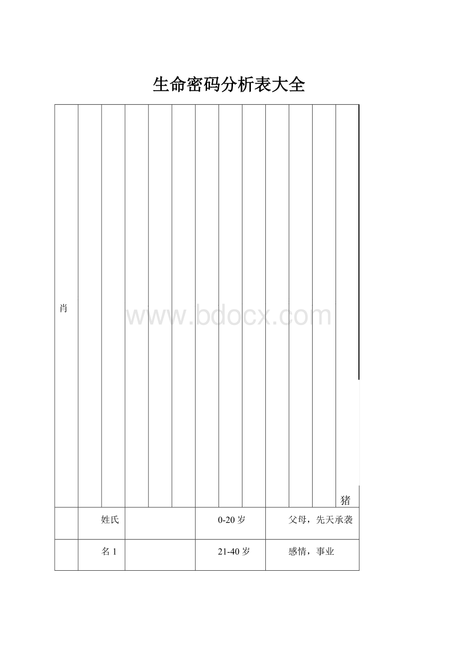 生命密码分析表大全.docx