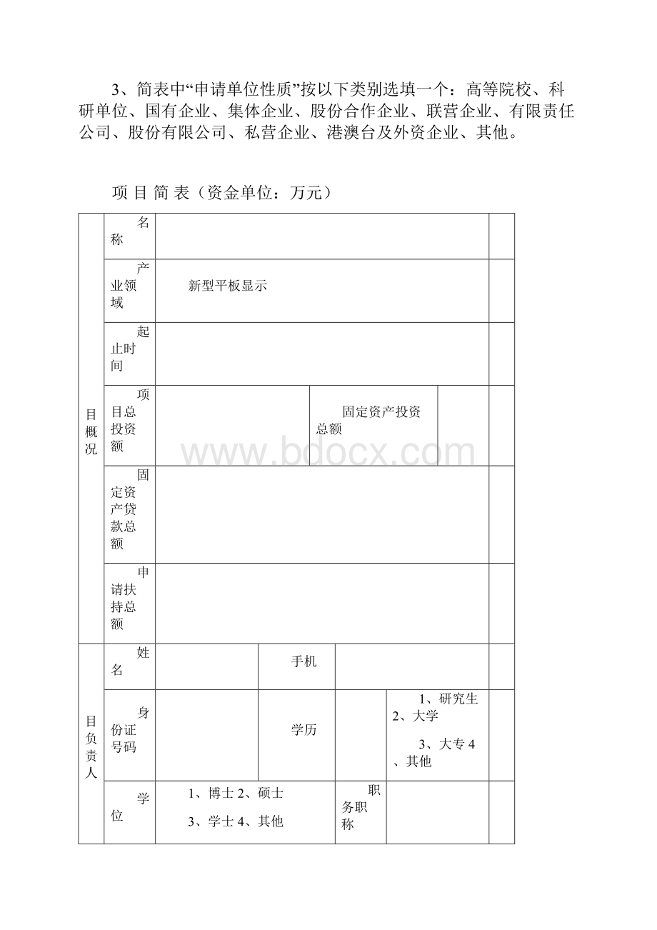 广东省发展平板显示产业财政扶持资金申请表.docx_第2页