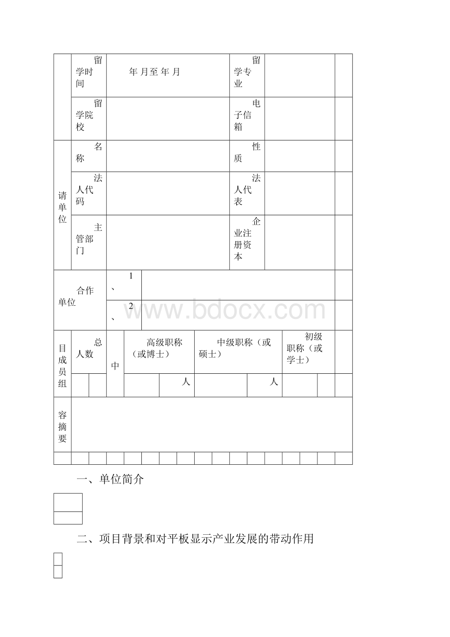 广东省发展平板显示产业财政扶持资金申请表.docx_第3页