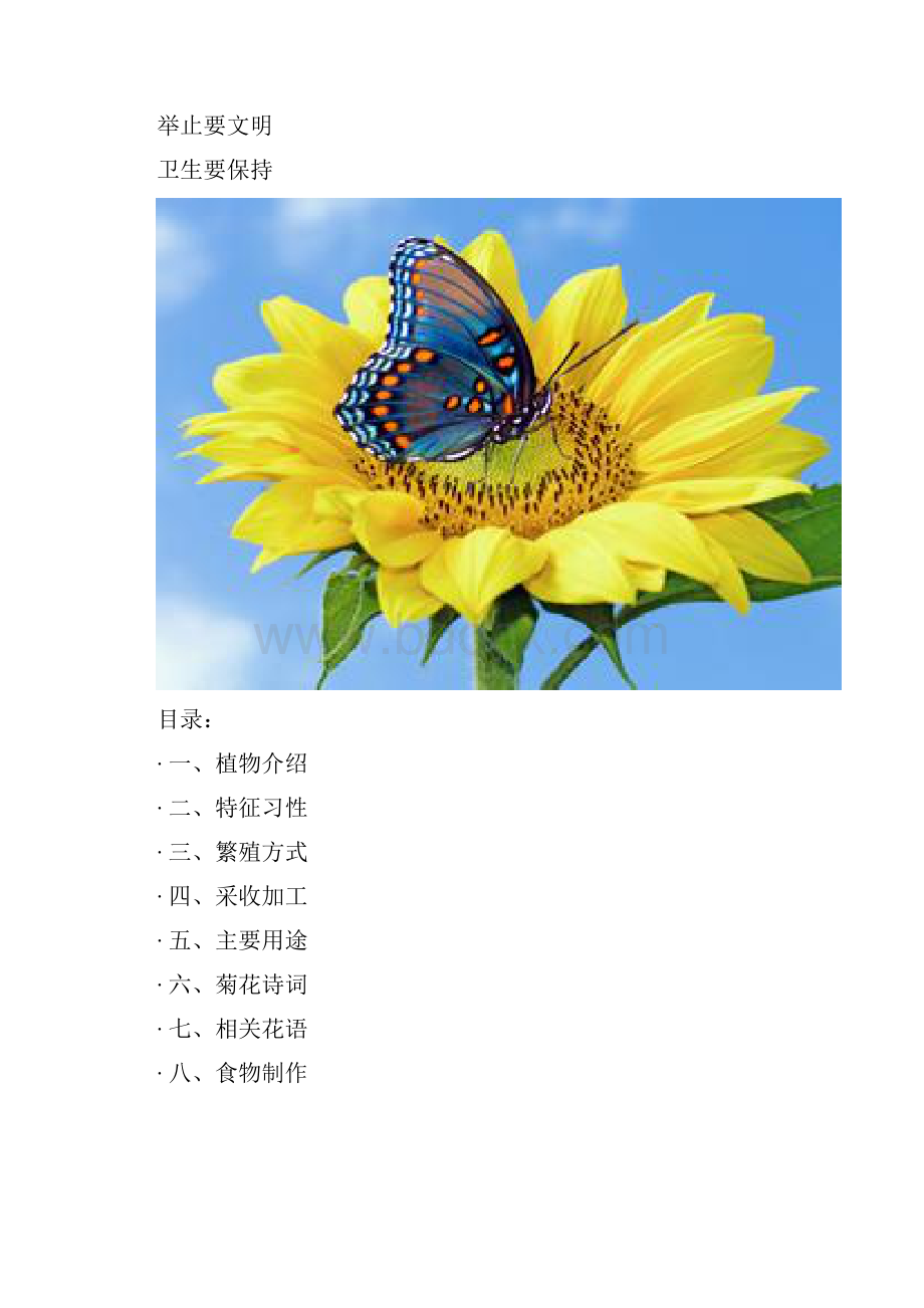 班本课程菊花教材.docx_第2页