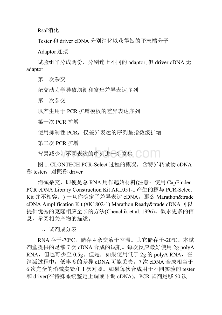 Clontech抑制性削减杂交PCR中文说明书.docx_第3页