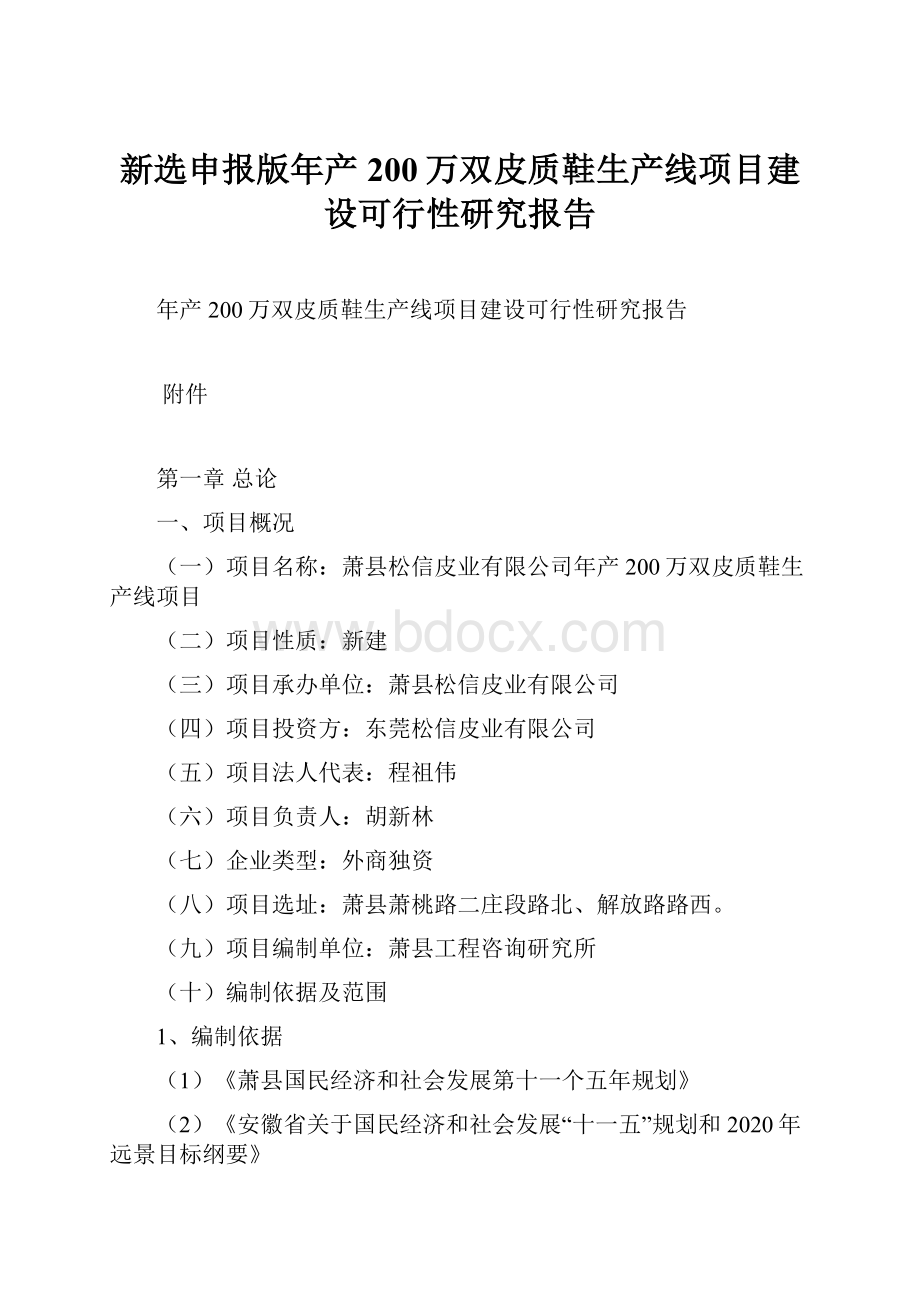 新选申报版年产200万双皮质鞋生产线项目建设可行性研究报告.docx