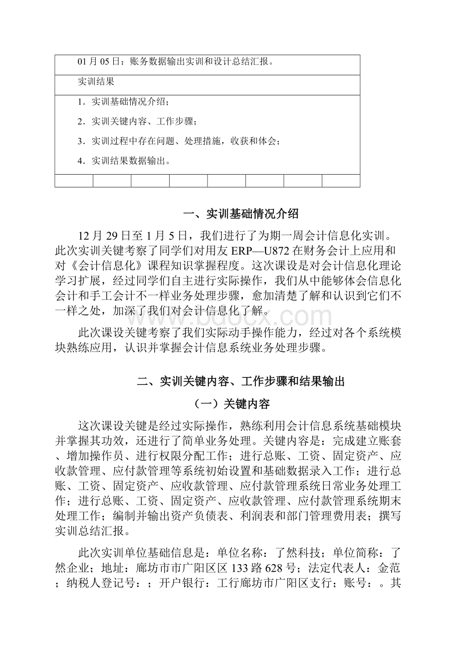 会计信息化实训总结报告.docx_第3页