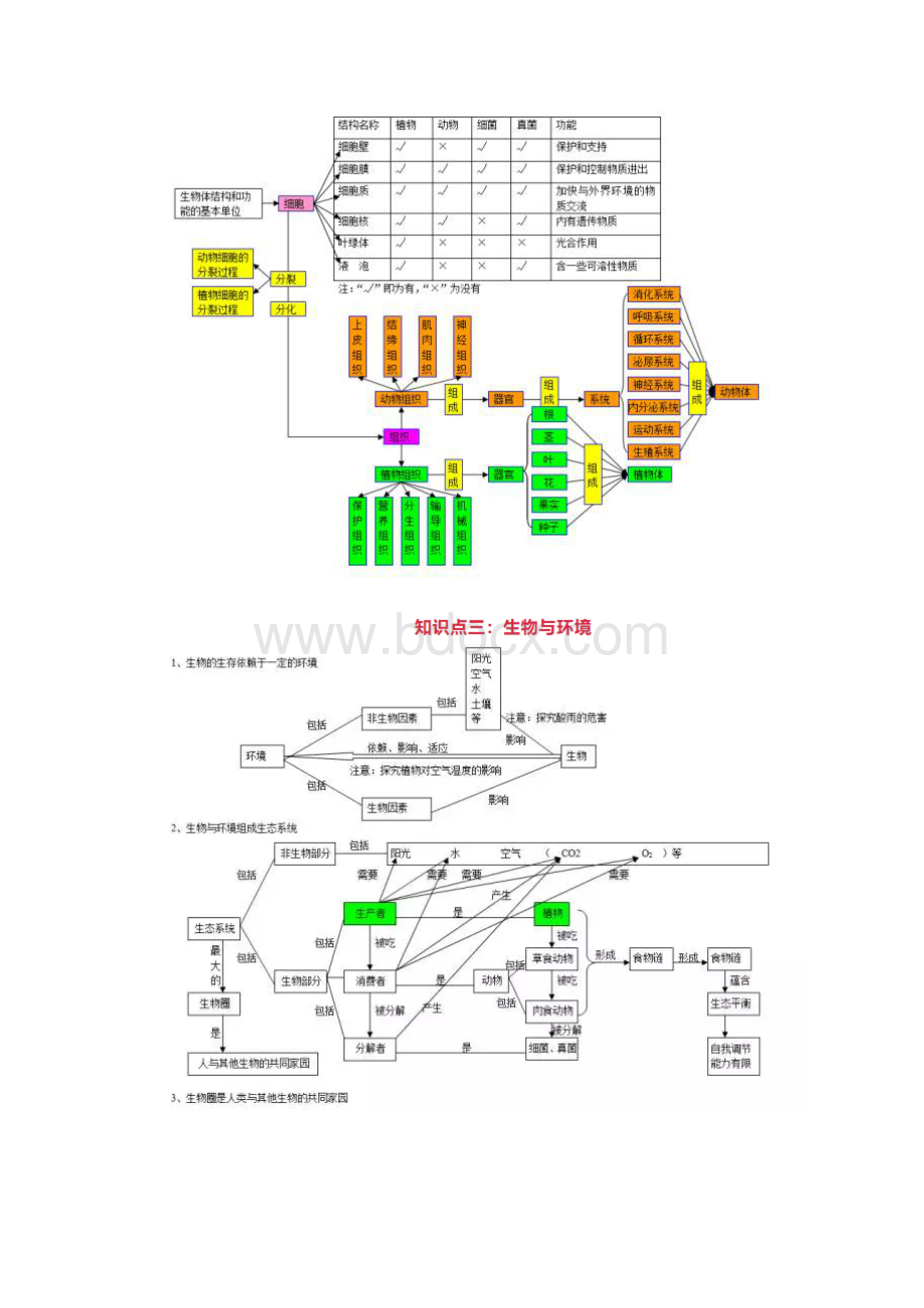 生物10大专题思维导图.docx_第2页