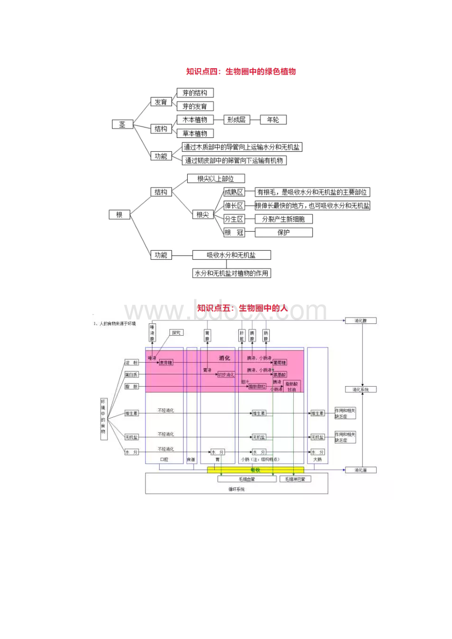 生物10大专题思维导图.docx_第3页