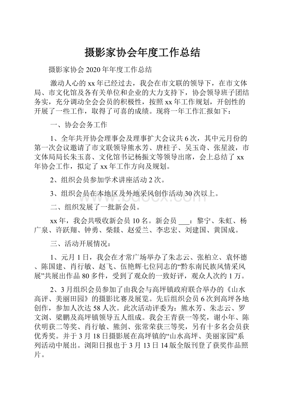 摄影家协会年度工作总结.docx