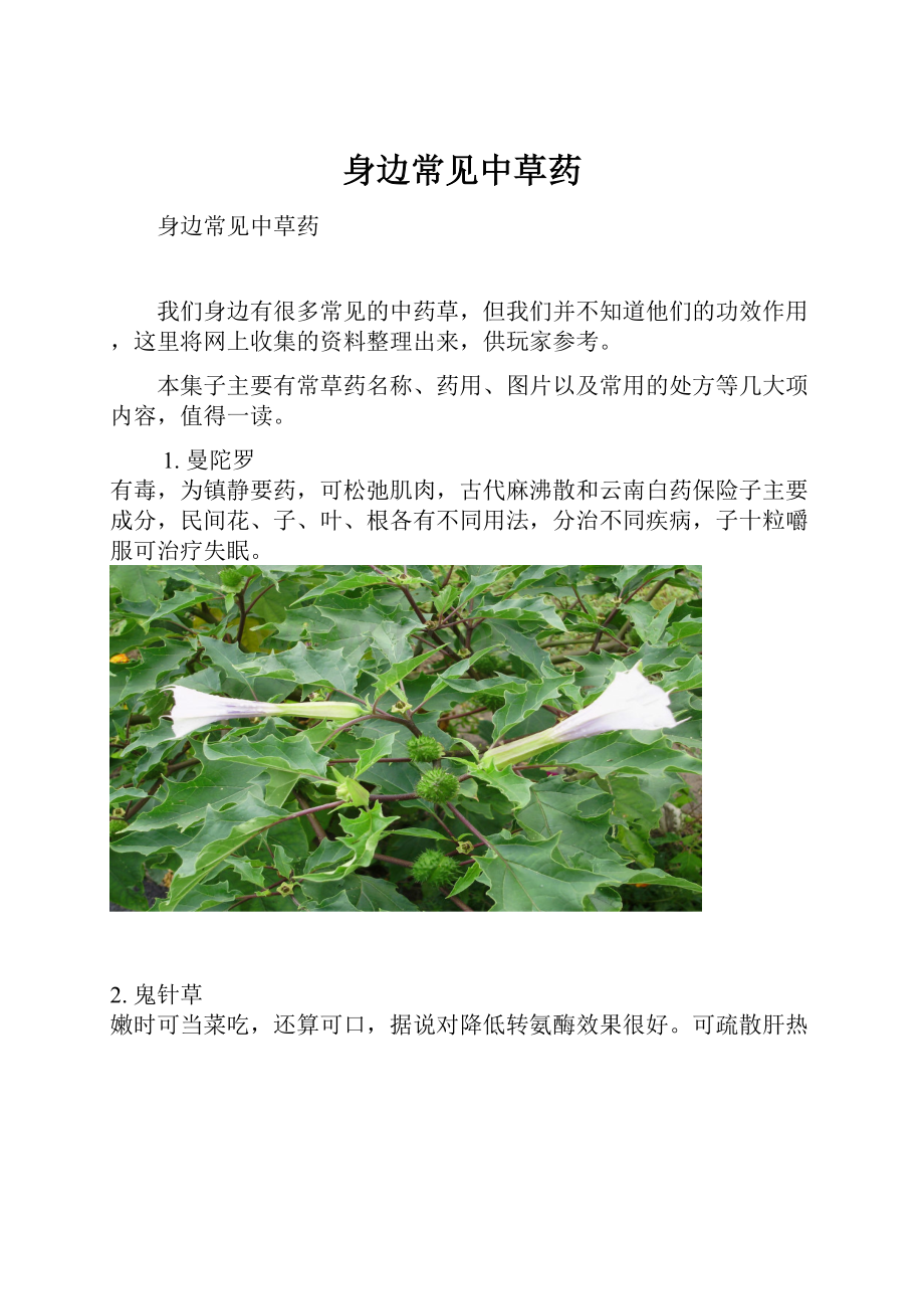 身边常见中草药.docx