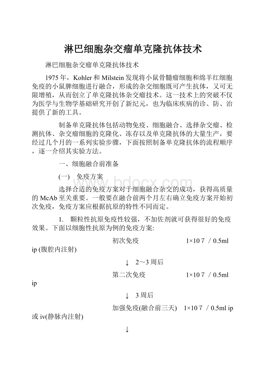 淋巴细胞杂交瘤单克隆抗体技术.docx