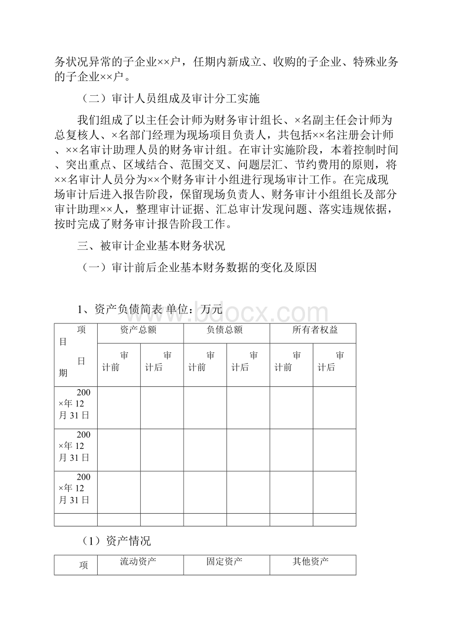 财务审计报告的模板.docx_第3页