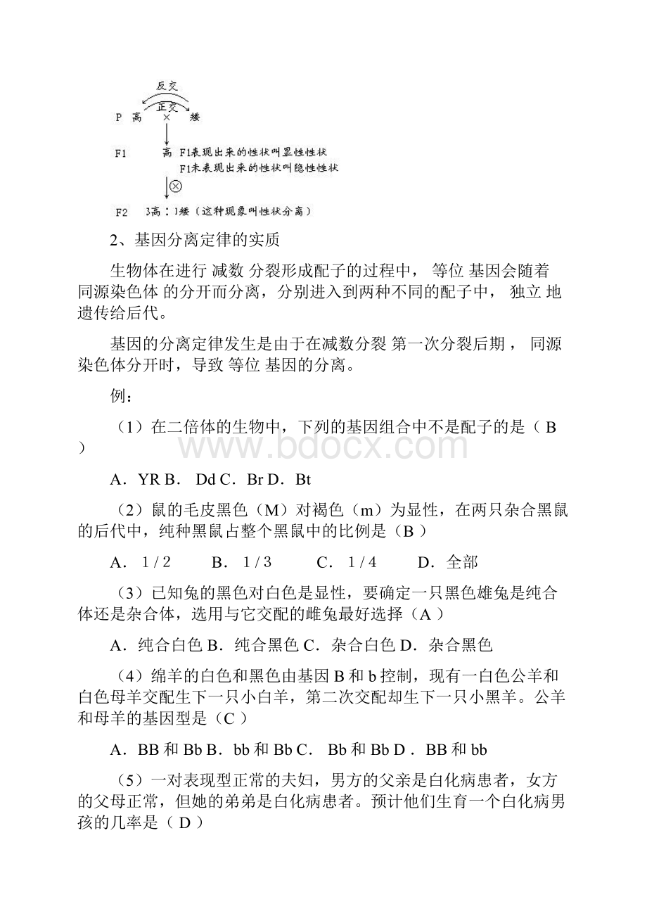 最新沪科版高中生命科学第三册第八章《遗传与变异》word练习题资料.docx_第3页