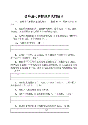 蜜蜂消化和排泄系统的解剖.docx