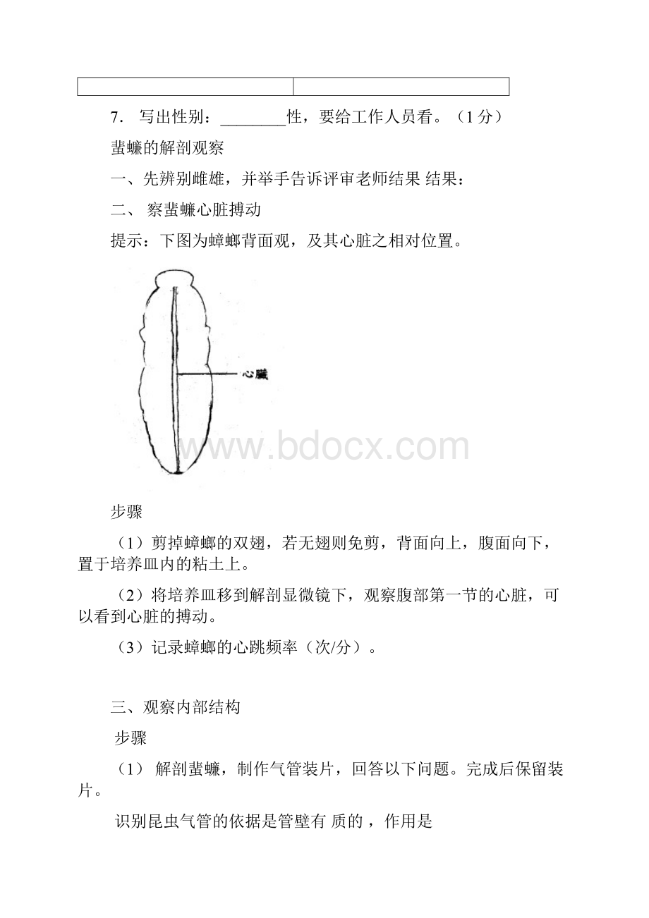 蜜蜂消化和排泄系统的解剖.docx_第2页