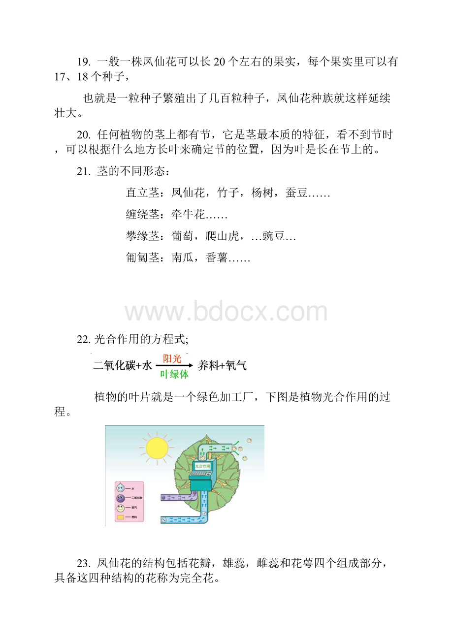 教科版小学三年级下册科学每个单元知识点整理全册.docx_第3页