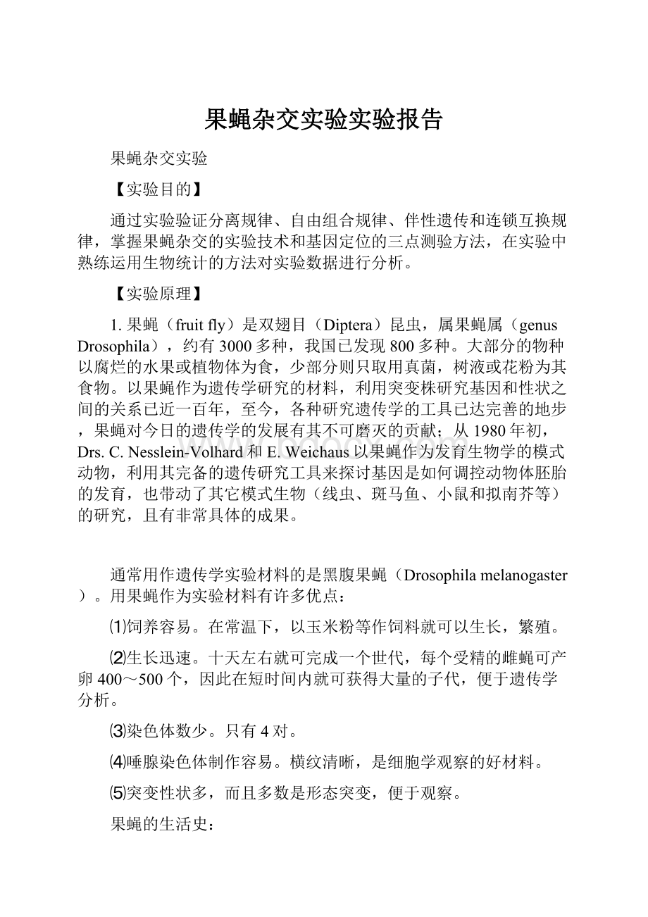 果蝇杂交实验实验报告.docx_第1页