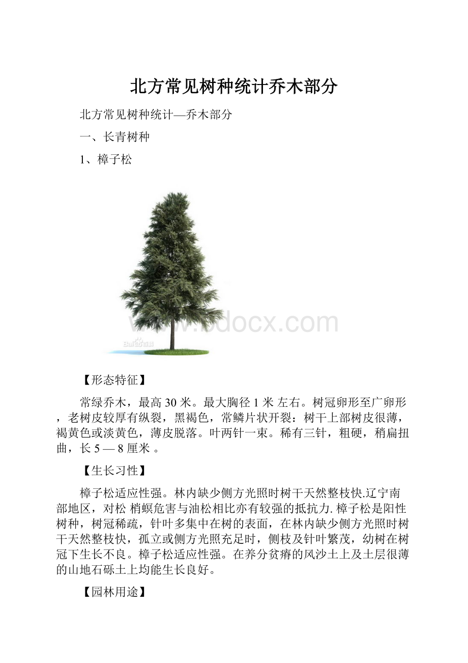 北方常见树种统计乔木部分.docx