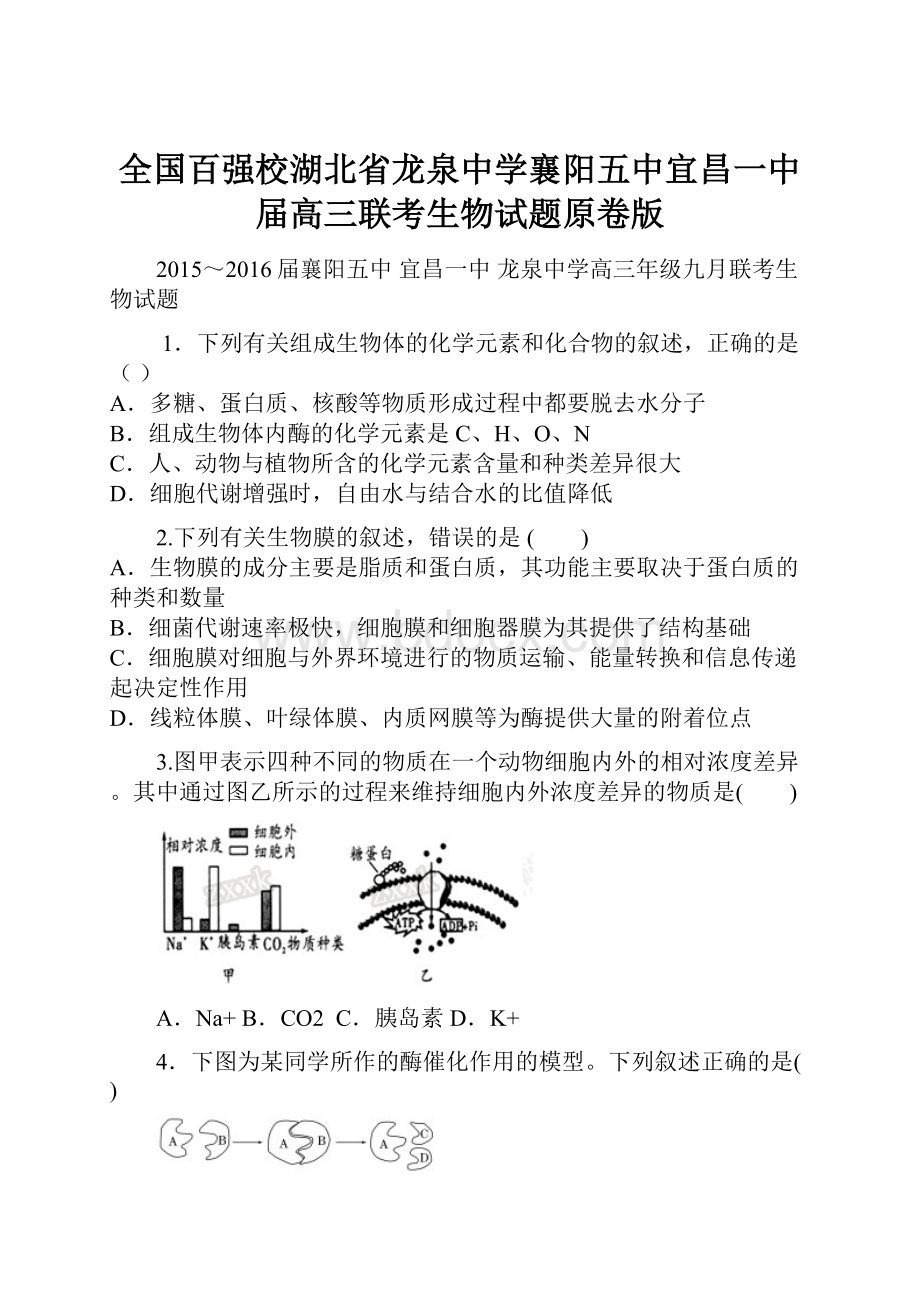 全国百强校湖北省龙泉中学襄阳五中宜昌一中届高三联考生物试题原卷版.docx_第1页