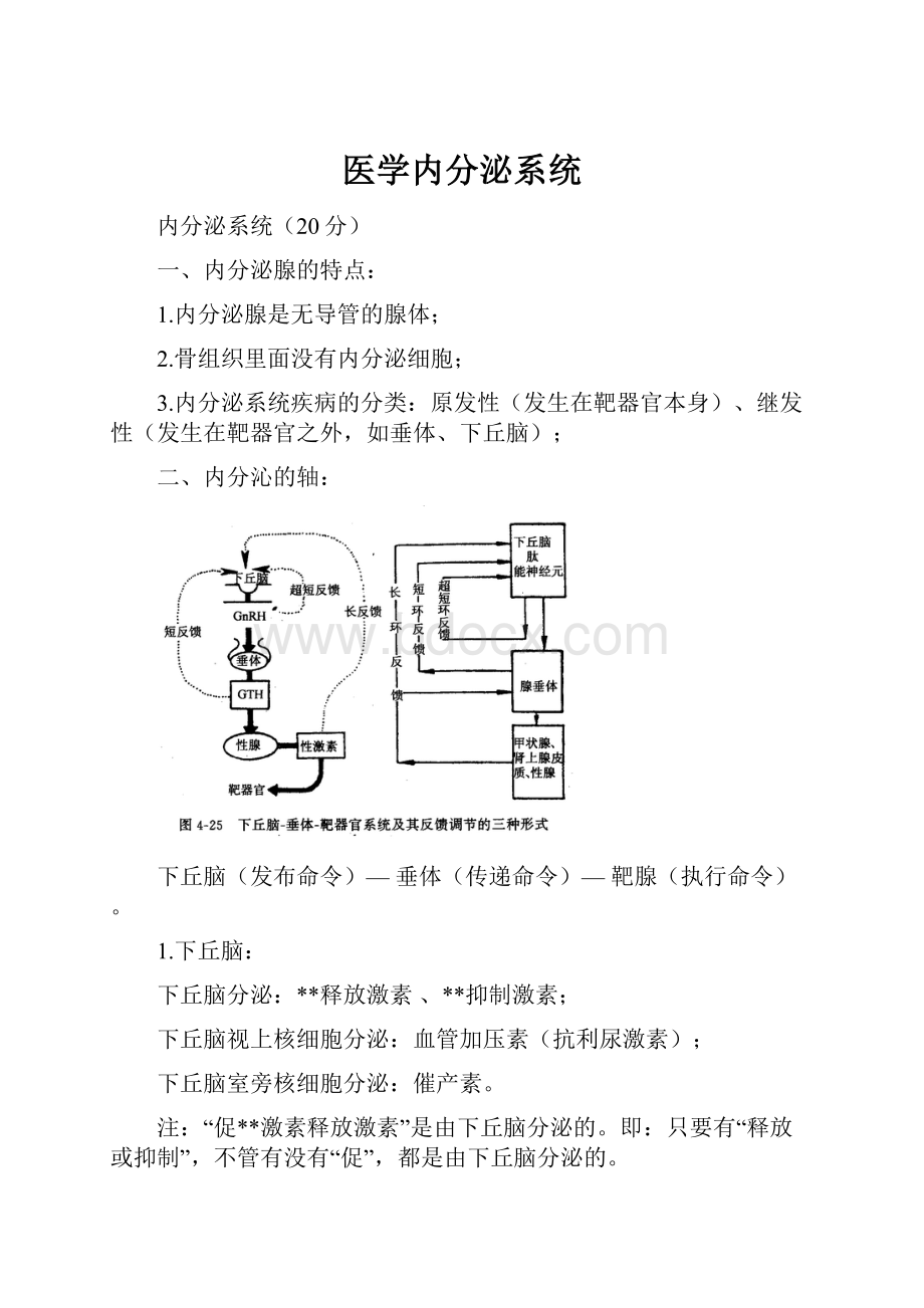 医学内分泌系统.docx_第1页