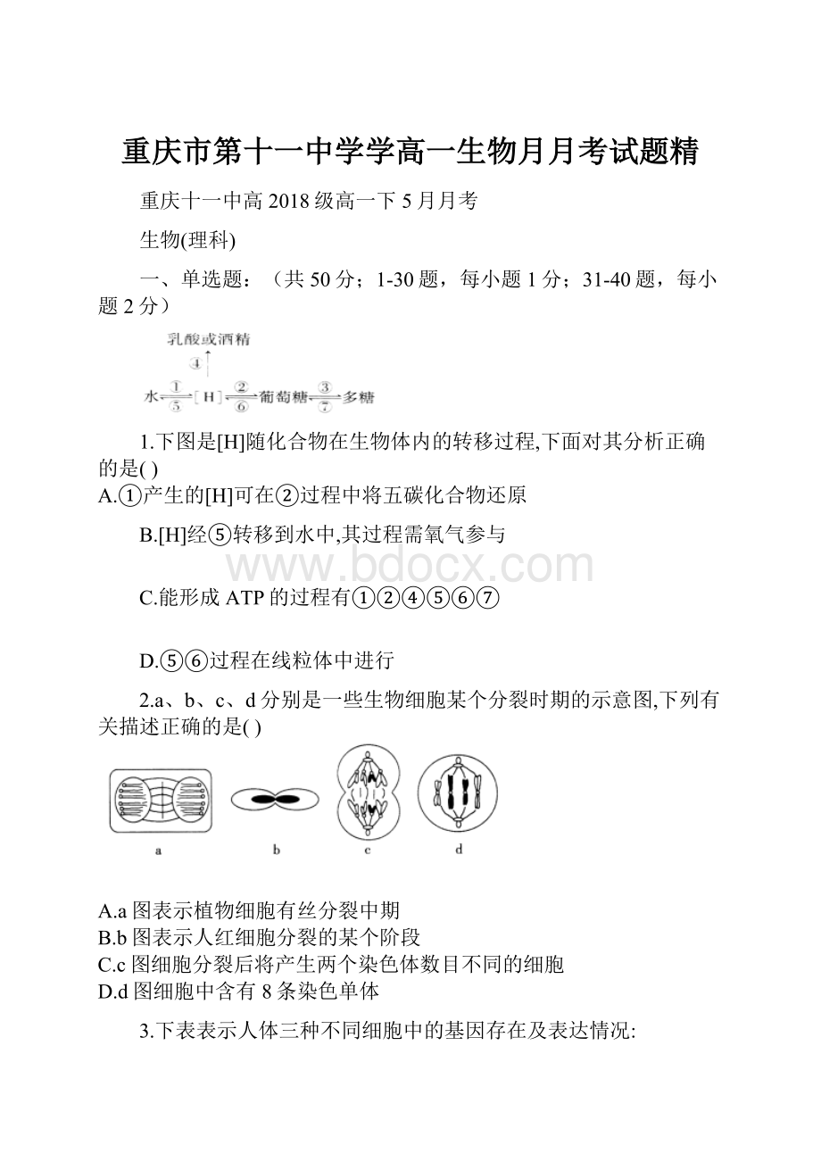 重庆市第十一中学学高一生物月月考试题精.docx_第1页