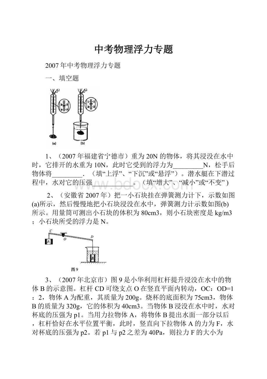 中考物理浮力专题.docx