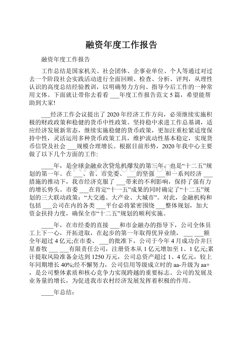 融资年度工作报告.docx