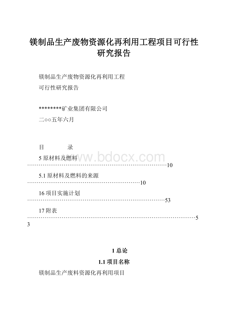 镁制品生产废物资源化再利用工程项目可行性研究报告.docx