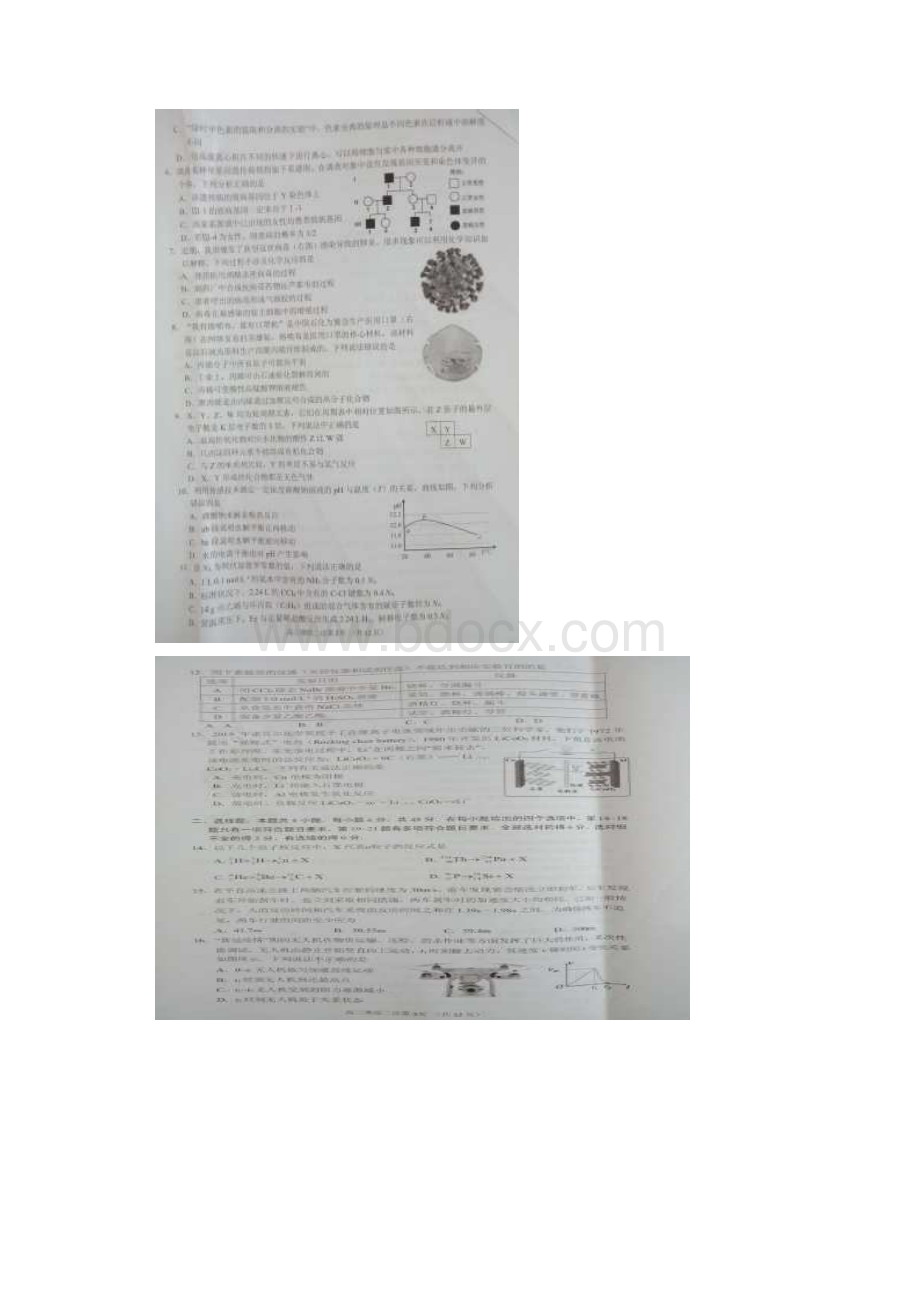 四川省南充市届高三第二次高考适应性考试理科综合试题.docx_第2页