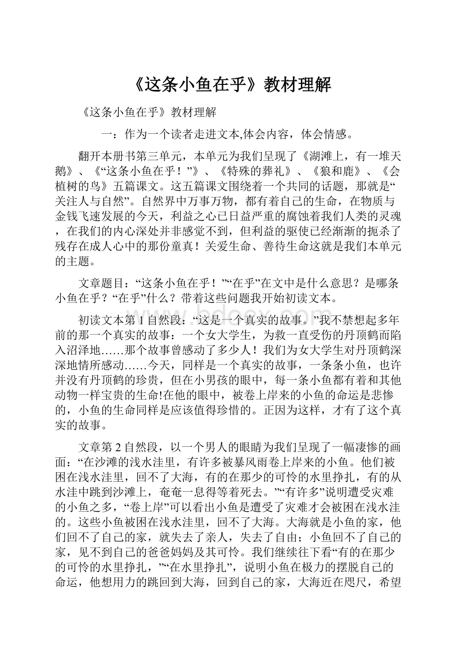 《这条小鱼在乎》教材理解.docx_第1页