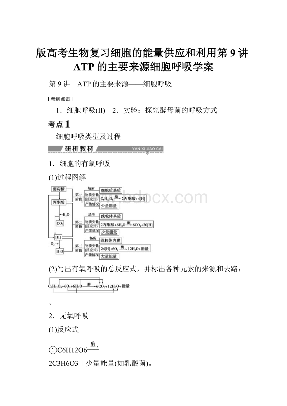 版高考生物复习细胞的能量供应和利用第9讲ATP的主要来源细胞呼吸学案.docx