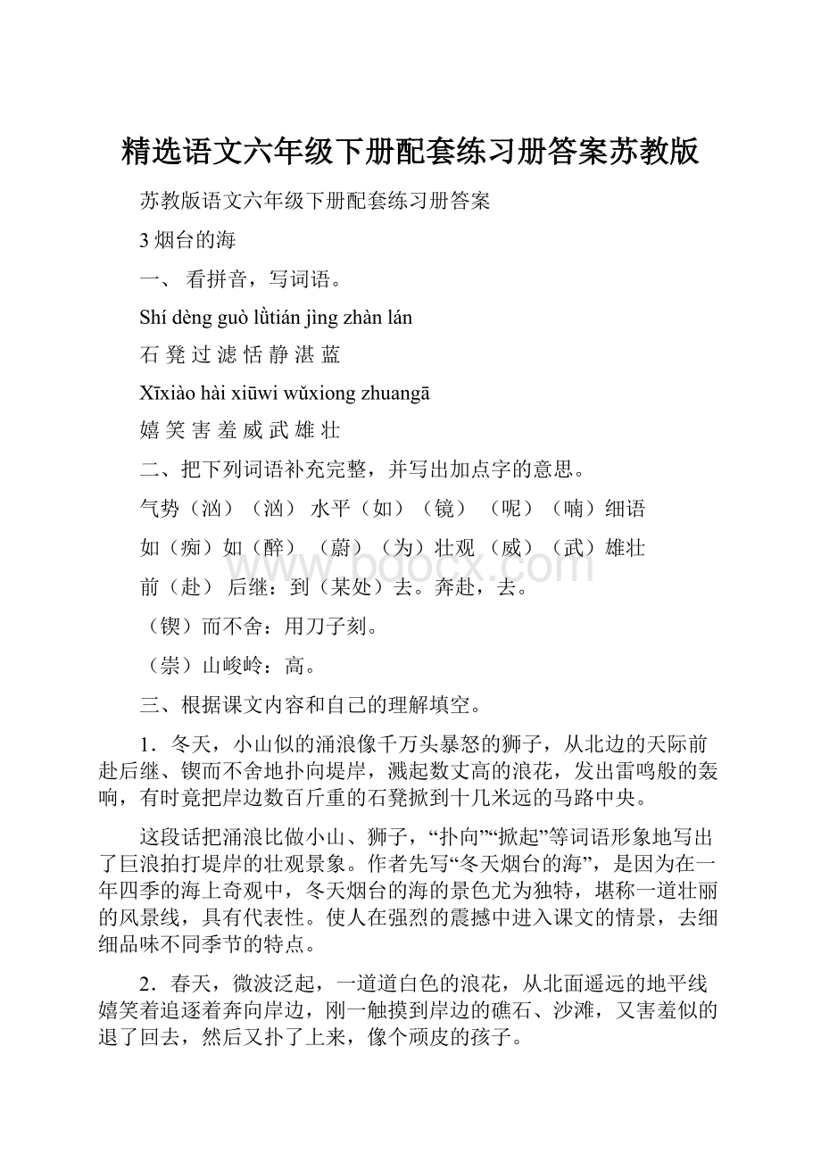 精选语文六年级下册配套练习册答案苏教版.docx