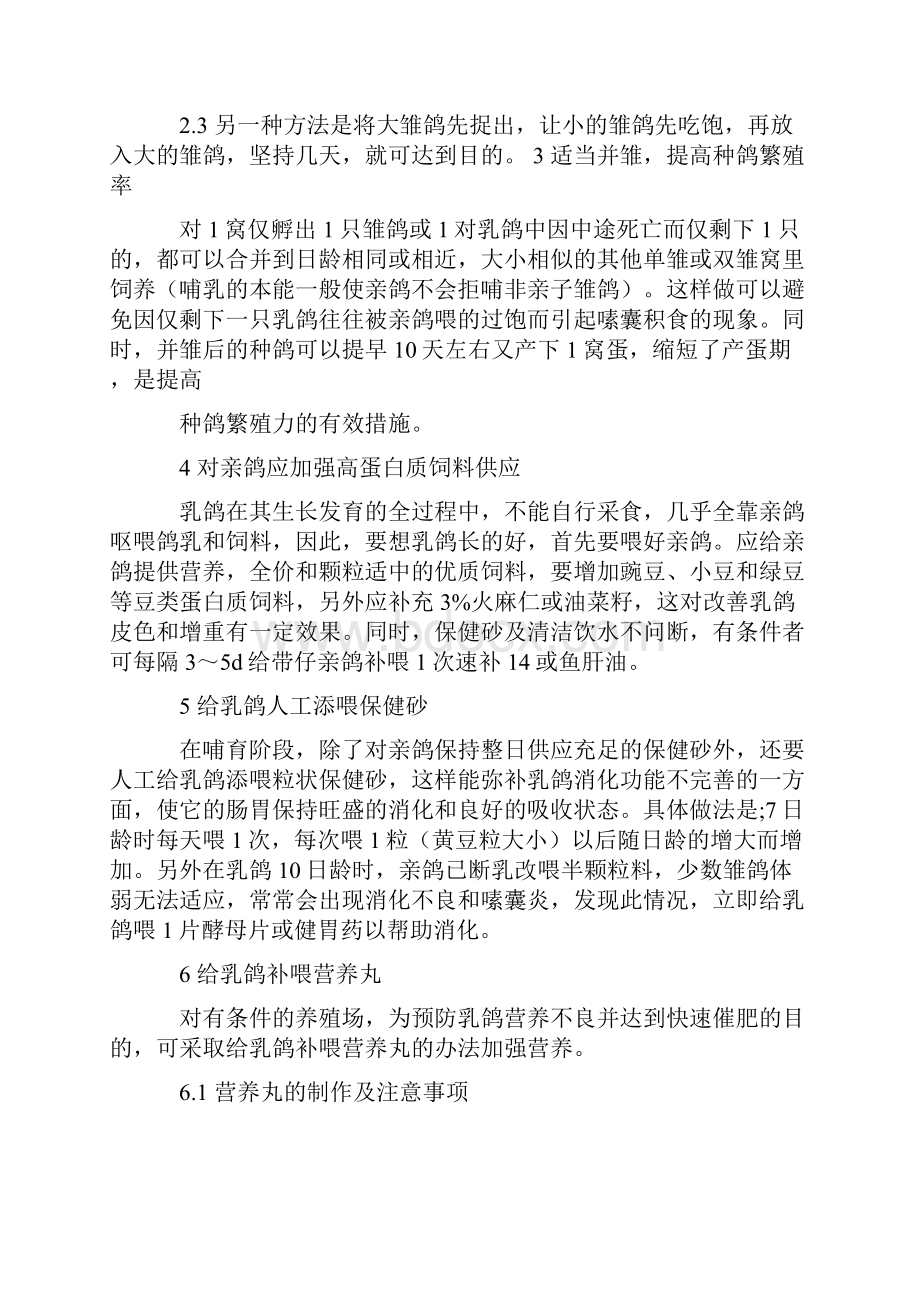 养白鸽的方法.docx_第2页