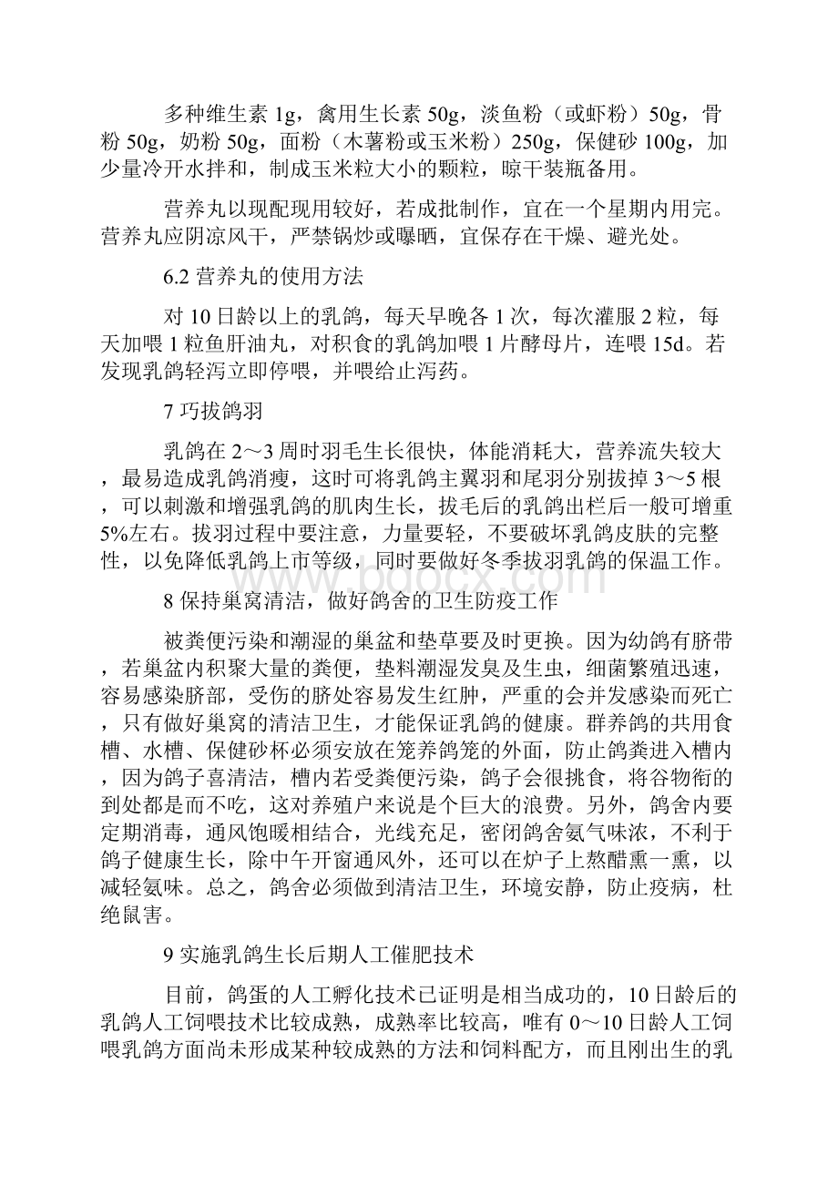 养白鸽的方法.docx_第3页