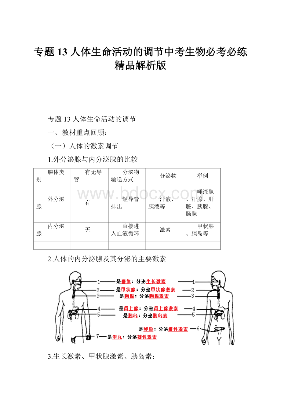 专题13 人体生命活动的调节中考生物必考必练精品解析版.docx_第1页