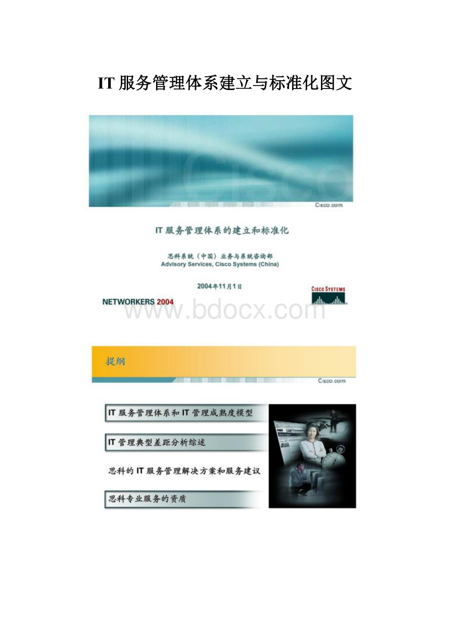 IT服务管理体系建立与标准化图文.docx