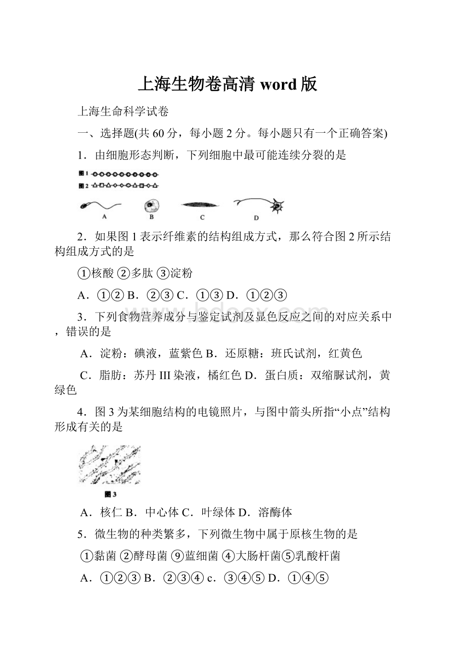 上海生物卷高清word版.docx