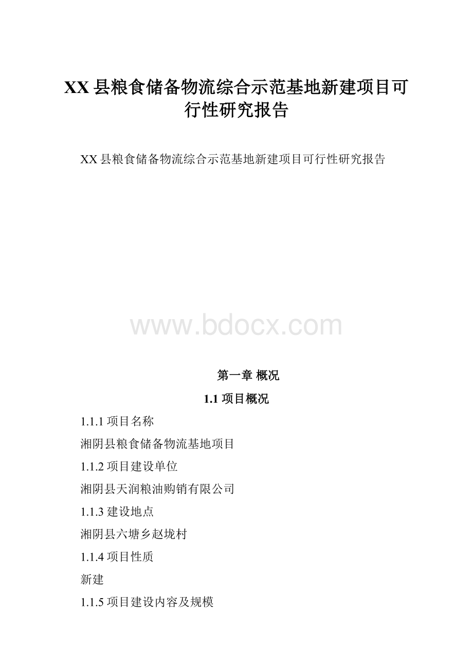 XX县粮食储备物流综合示范基地新建项目可行性研究报告.docx