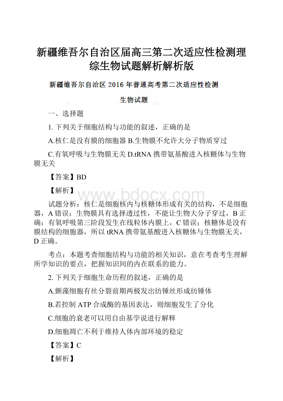 新疆维吾尔自治区届高三第二次适应性检测理综生物试题解析解析版.docx