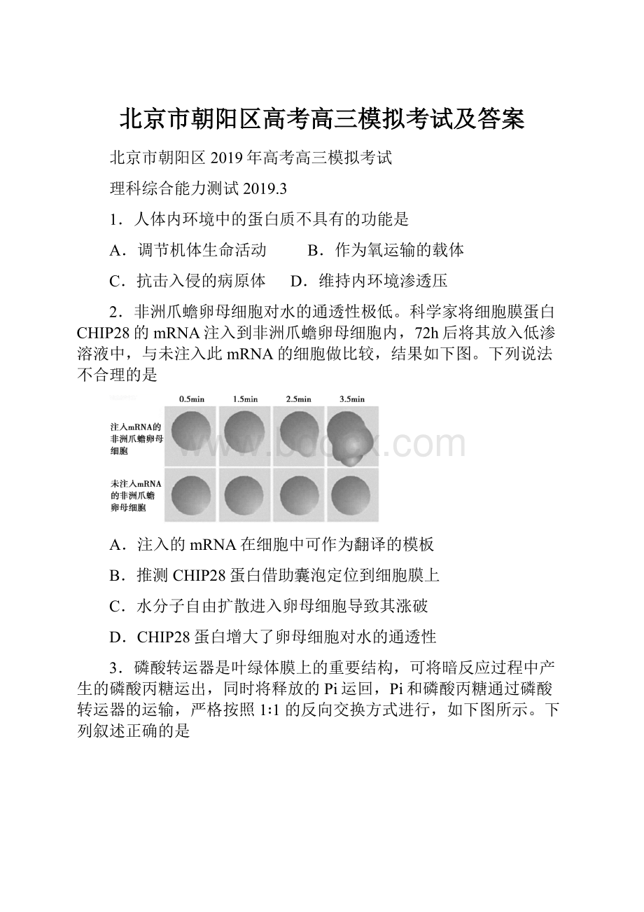 北京市朝阳区高考高三模拟考试及答案.docx