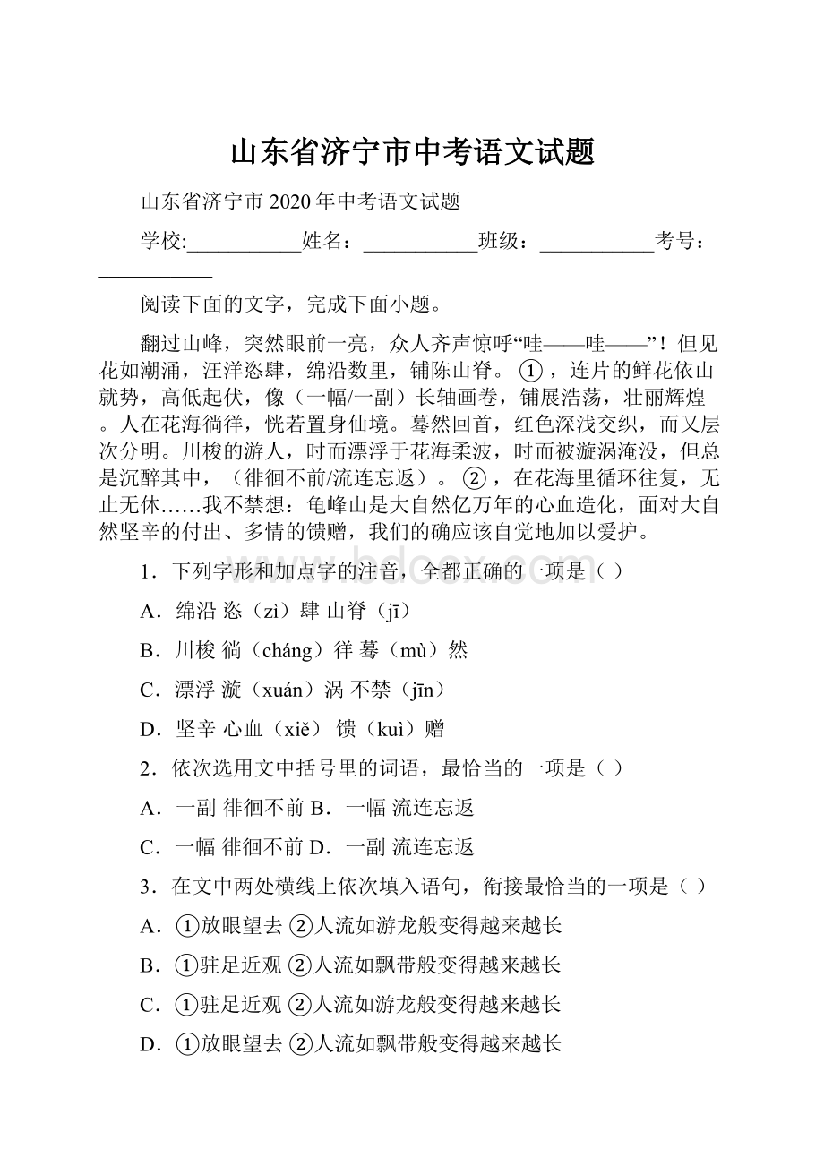 山东省济宁市中考语文试题.docx_第1页