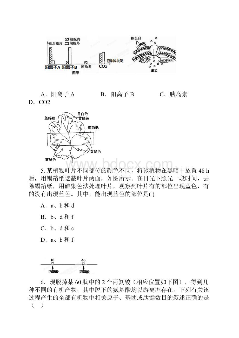 届上海市普陀区高三下学期质量调研二模考试生物试题及答案精品推荐.docx_第2页