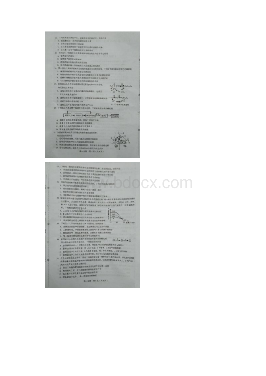 福建省龙岩市一级达标校学年高一生物下学期期末考试试题扫描版.docx_第3页