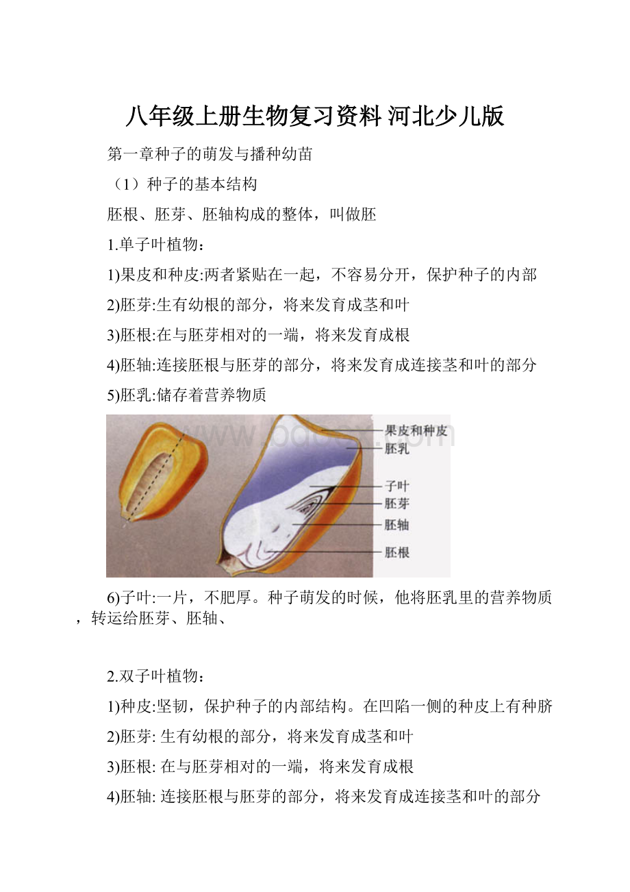 八年级上册生物复习资料 河北少儿版.docx