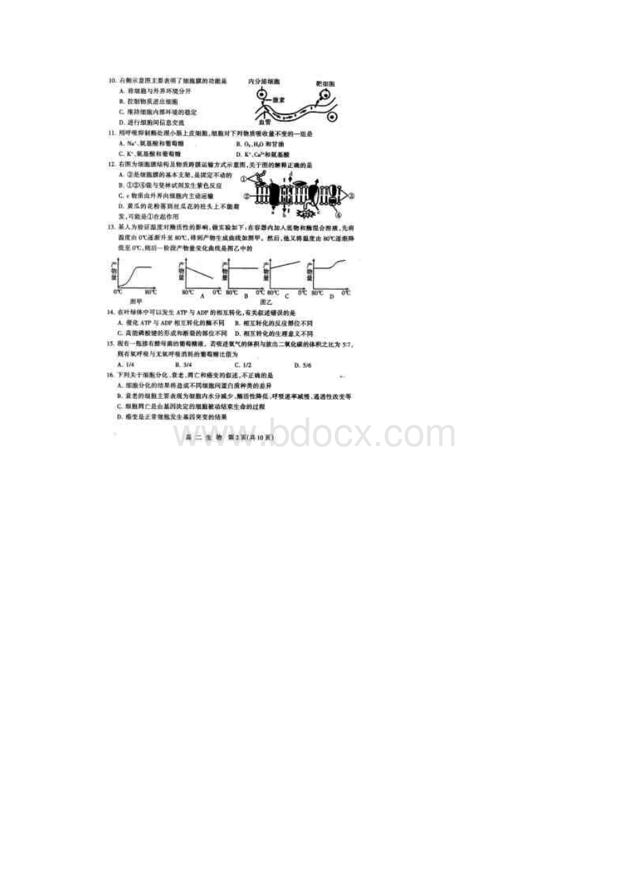 学年河北省石家庄市高二下学期期末考试 生物扫描版.docx_第2页