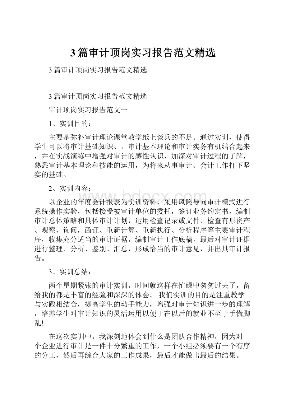 3篇审计顶岗实习报告范文精选.docx_第1页