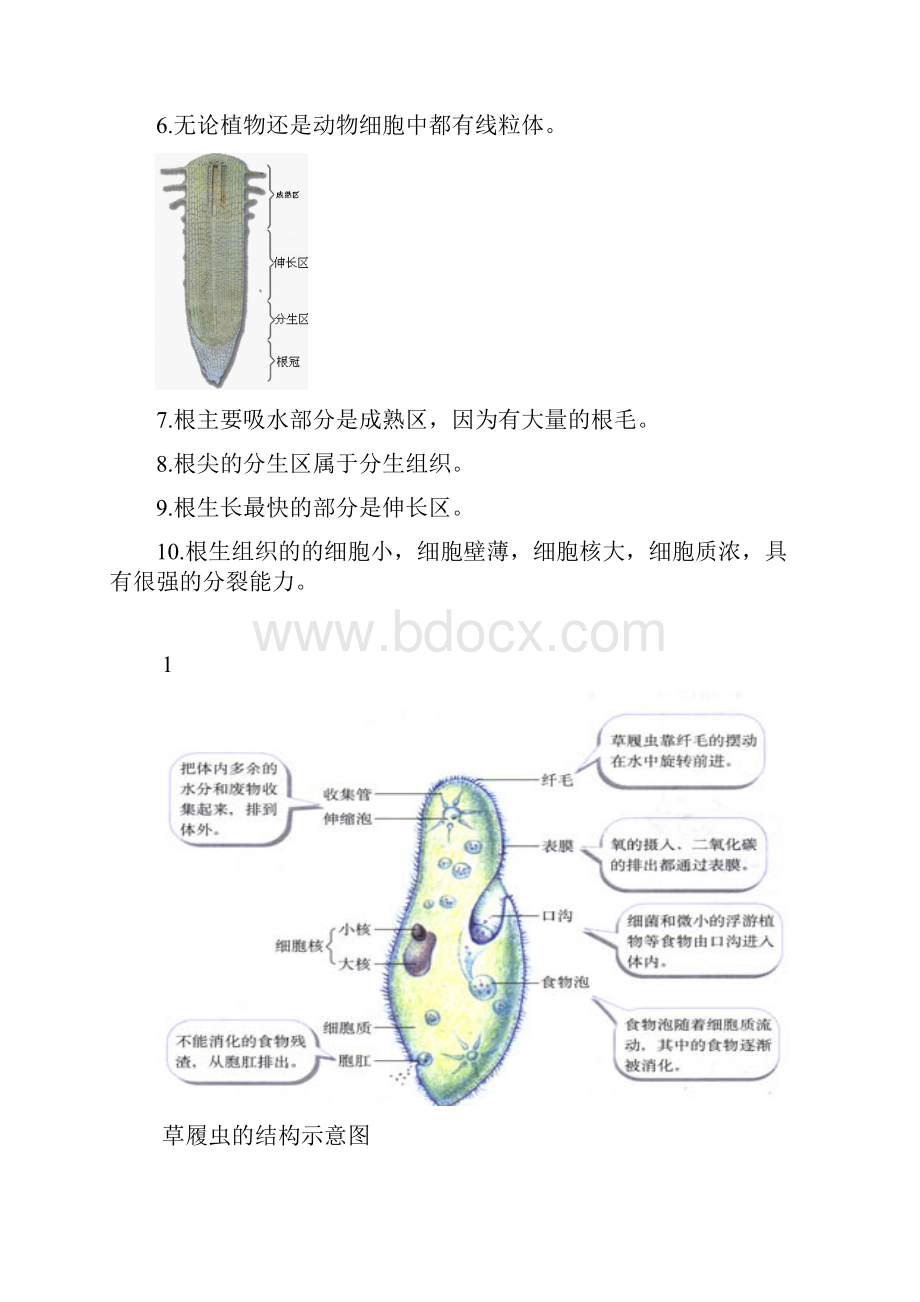 人教版初中生物中考复习图专题.docx_第2页