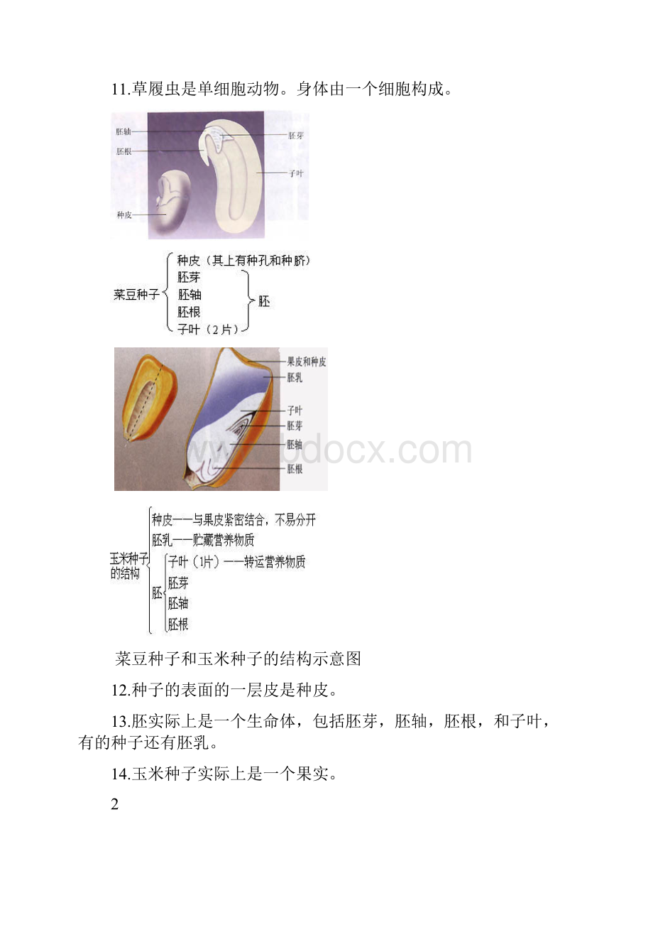 人教版初中生物中考复习图专题.docx_第3页