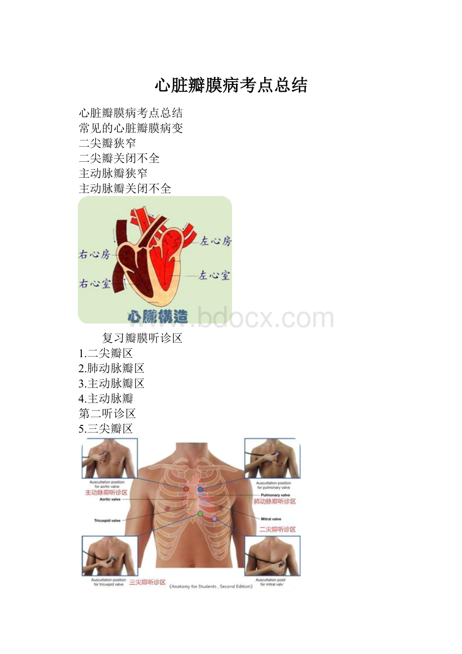 心脏瓣膜病考点总结.docx