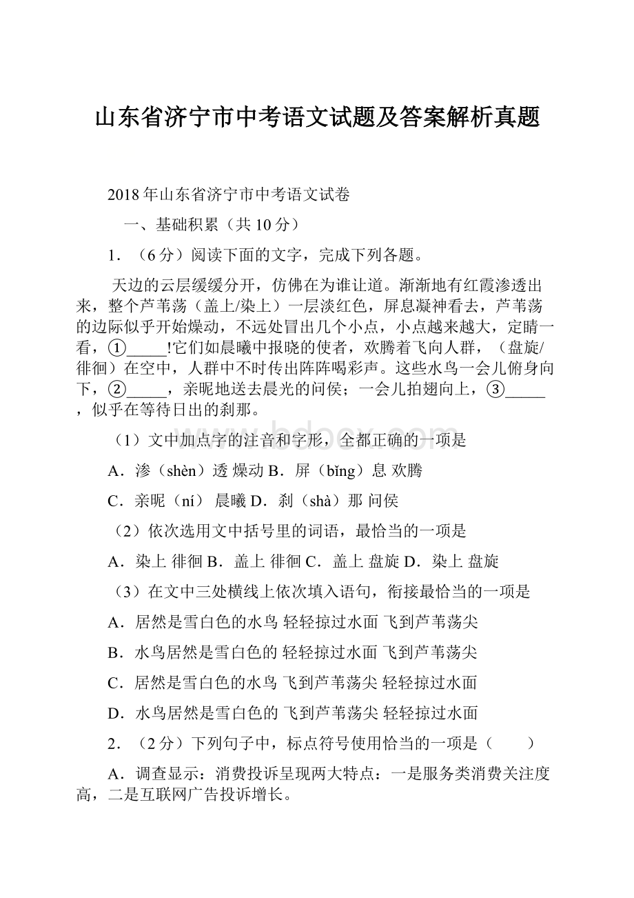 山东省济宁市中考语文试题及答案解析真题.docx_第1页