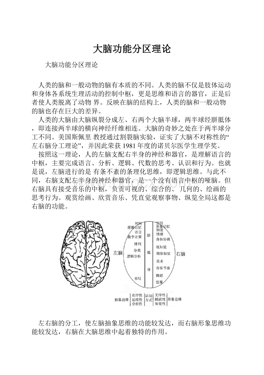 大脑功能分区理论.docx_第1页